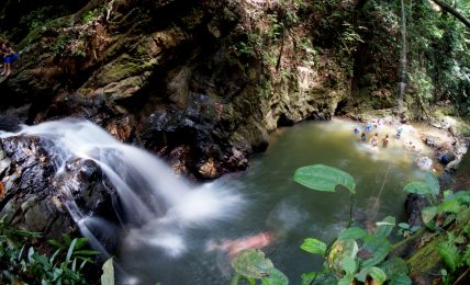 Hike to Rampanalgas Waterfall with UWI Biological Society
