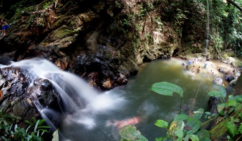 Hike to Rampanalgas Waterfall with UWI Biological Society